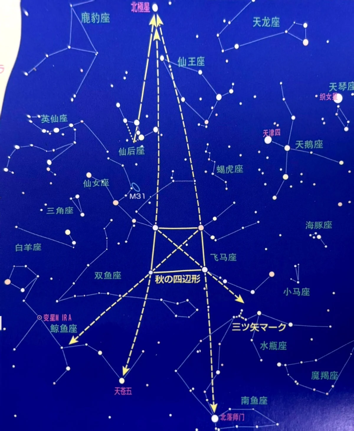 https://img.alexation.cn/blog/post/hobby/star/11.webp